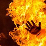 العراق يحتاج 1500 منظومة ري لزيادة الرقعة الزراعية في ظل أزمة الجفاف..