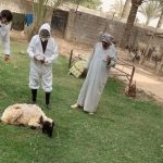 “بيك آب” تصطدم بـ “ستاركس” في ذي قار وأثناء العودة من كربلاء