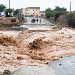 بعد تسجيل 500 إصابة..الصين تخطط لاحتواء مرض جدري القردة