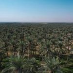 وزير العمل يزور أقسام الحماية الاجتماعية في نينوى ويؤكد على تبسيط الإجراءات للمواطنين