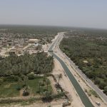 هل تناول الفراولة يحمي من الإصابة بالخرف؟