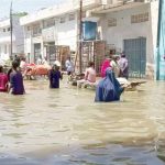 سجن البصرة المركزي يجهز المحافظات الجنوبية بــــ12 ألف رحلة مدرسية