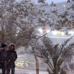 ثمن نهائي آسيا.. الأسود يواجهون النشامى وكتيبة الفدائيين تصطدم بالعنابي اليوم