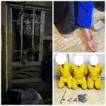 غوارديولا يعلق على إعلان كلوب الرحيل عن ليفربول