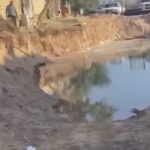 محافظ كربلاء يخاطب مدراء الدوائر بلهجة حادة: كلكم ملزمون بتفريغ المكلفين بالتعداد السكاني