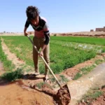 السوداني يلتقي مسعود بارزاني بمصيف صلاح الدين في أربيل
