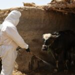 الذهب يواصل ارتفاعه الجنوني في الاسواق العراقية