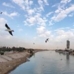 رسمياً.. البرازيل تحجز مقعدها في مونديال 2026 بفوز صعب على باراغواي