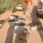 الجريمة المنظمة تطيح بـ1275 متهما ًبالتلاعب بالأسعار منذ مطلع محرم