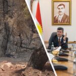 دراسة: مسكن آلام شائع قد يؤدي إلى فشل قلبي