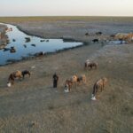 خبراء: “شات جي بي تي” يقود الناس إلى الجنون