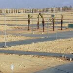 أزمة المياه.. النجف توجه دعوة عاجلة لمربي الأسماك وتوصيهم بـ”النظام المغلق”