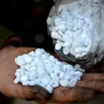 شرطة كربلاء تلقي القبض على ولي أمر اعتدى على معلمة