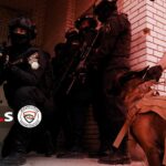 تحذيرات طبية: الباراسيتامول ليس آمناً كما يُعتقد