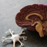 النزاهة تحذّر من استغلال موارد الدولة في الدعاية الانتخابية وتدعو للإبلاغ عن والمساومات