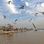 تحذير اممي من اعتماد العراق على النفط بتأمين الرواتب